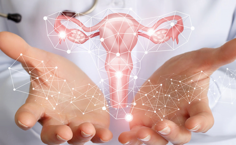 Kadın hastalıkları, doğum ve genital estetik hizmetleri - Op. Dr. Aylin Akıncı, İstanbul